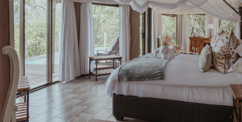 Suite - Interior 