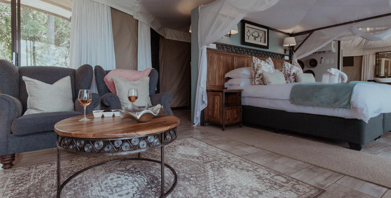 Suite - Interior 