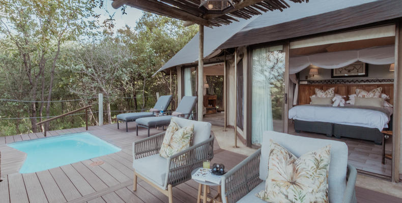 Suite - Deck & Pool 