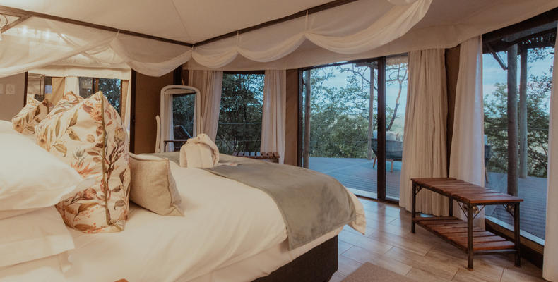 Suite - Deck & Pool 