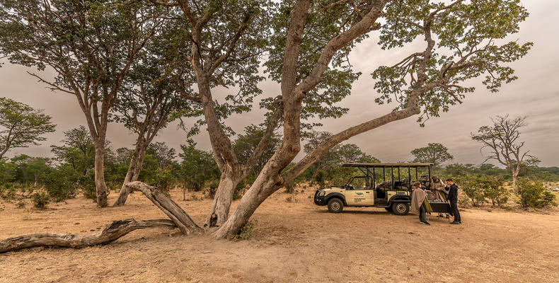 The Elephant Camp Game Drive