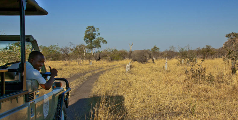 Daily game drives through the Chobe and Savuti