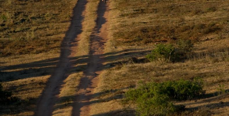 Cycle Safari Shamwari