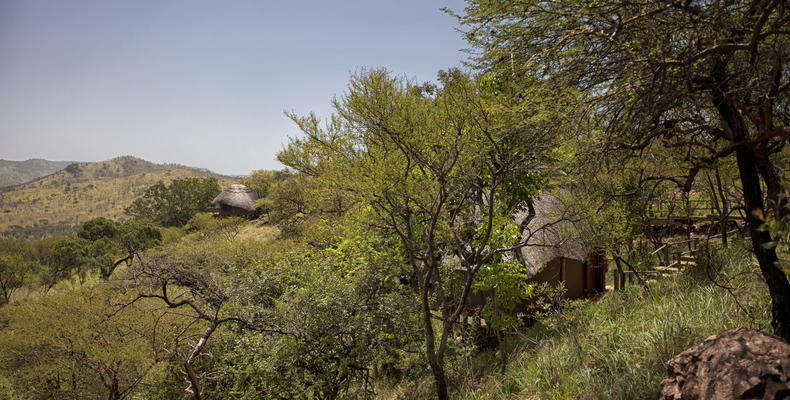 Mbali Mbali Soroi Serengeti