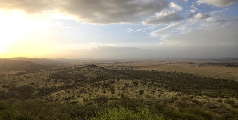 Mbali Mbali Soroi Serengeti