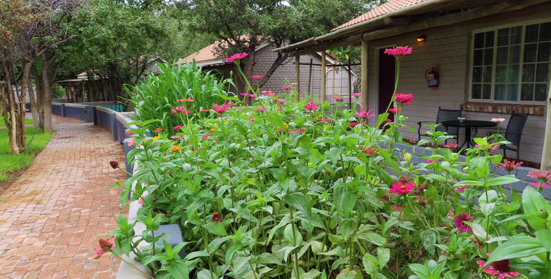 Damara Mopane Lodge