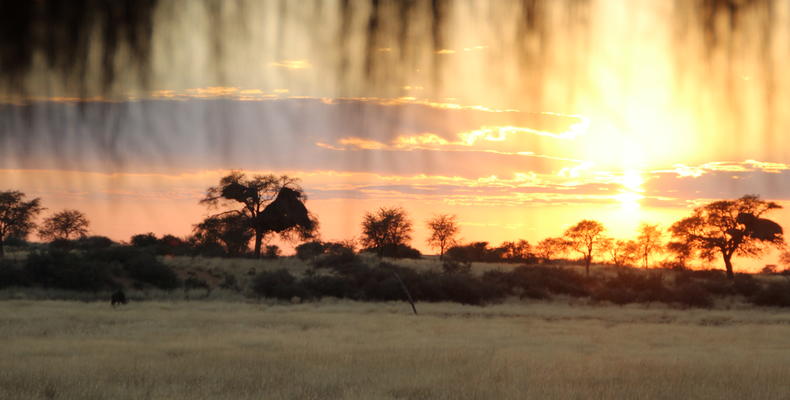 view to the water hole