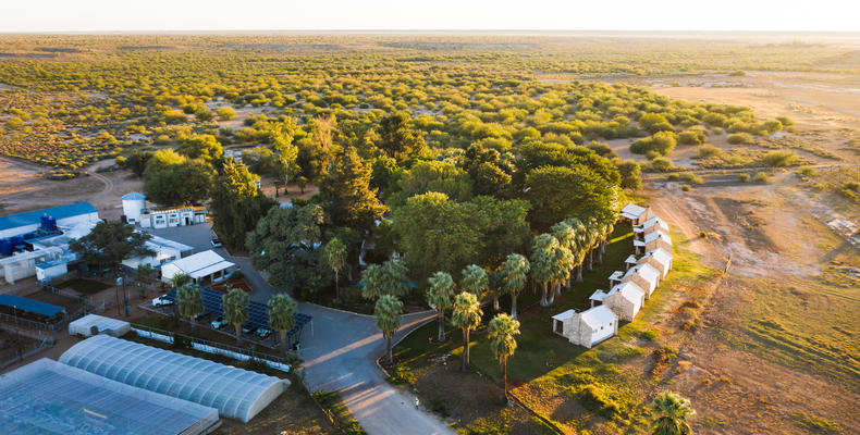 Kalahari Farmhouse 