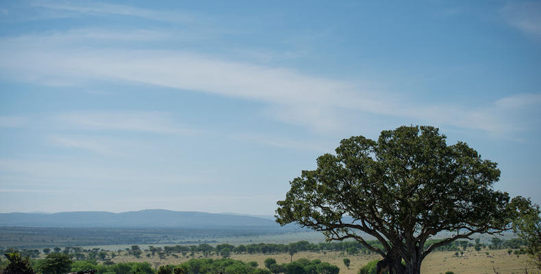 Olakira Camp - Landscape