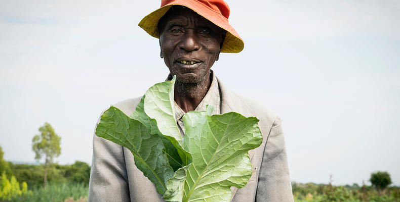 Olakira Camp - Vegetable garden