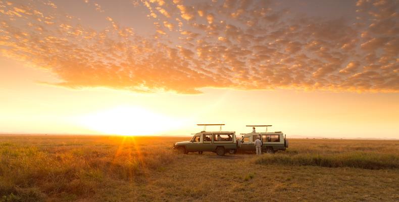 Serengeti sunrise