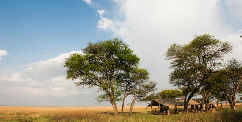 Serengeti Safari Camp