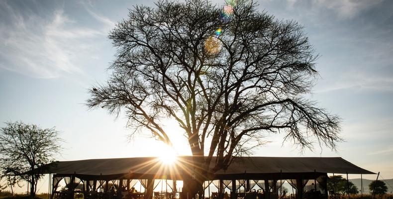 Sunrise over camp