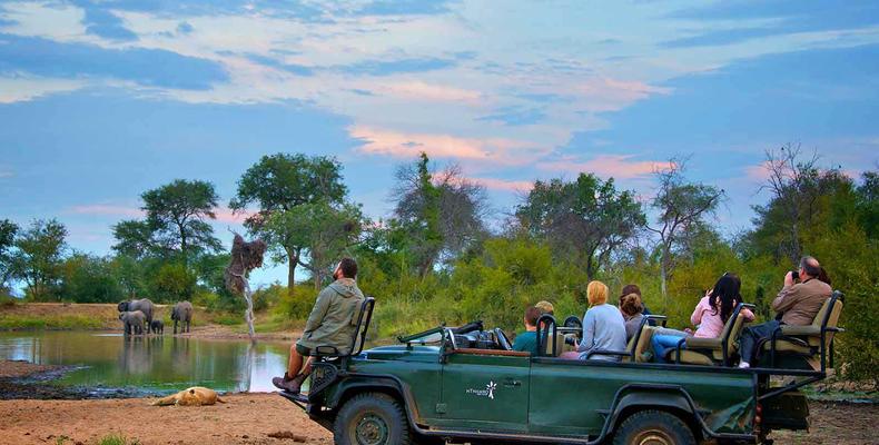 Lions and elephants share a waterhole 