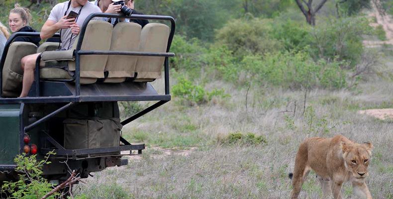 Great wildlife sightings on game drive