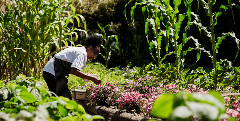 Delaire Graff Estate Organic Vegetable and Herb Garden