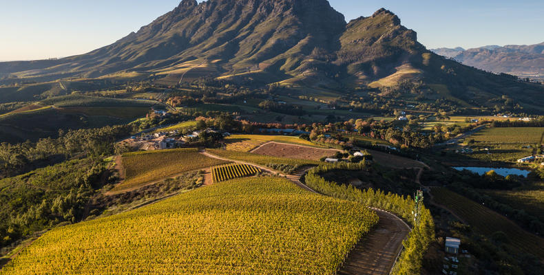 Delaire Graff Estate vineyards