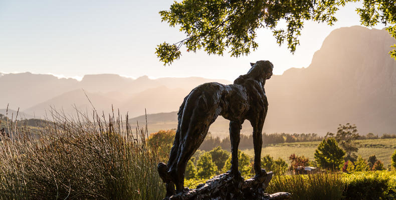The Jewel of the Cape Winelands