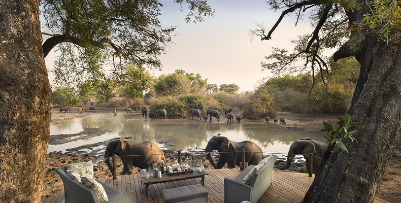 Kanga Camp
