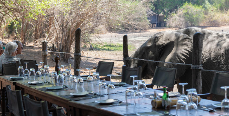 Kanga Camp