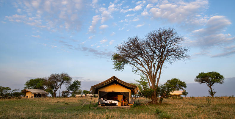 Camp view