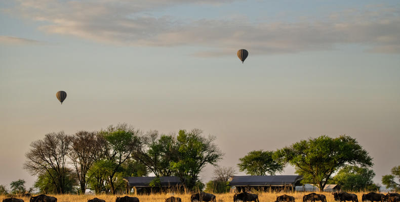 Migration passing camp