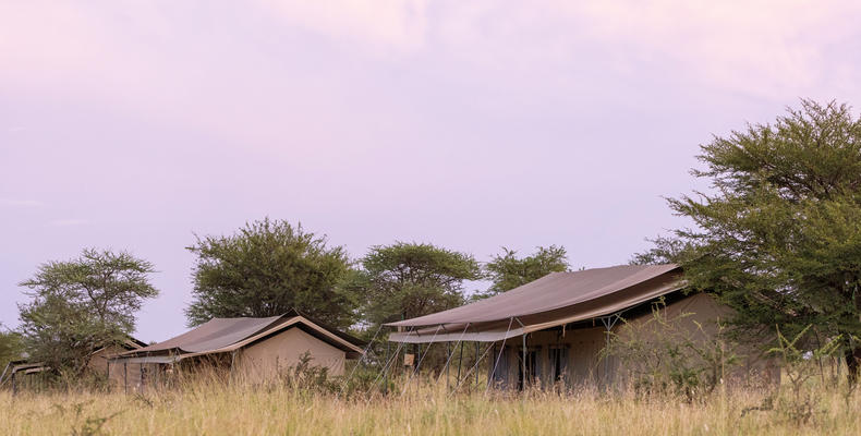 Serengeti Wilderness Camp 