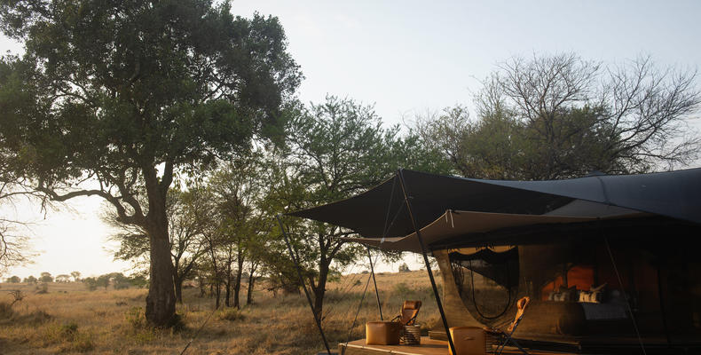Siringit Migration Camp 