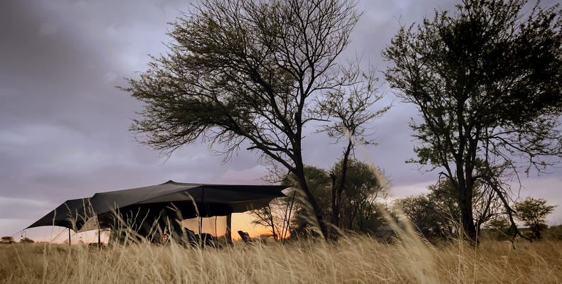 Siringit Migration Camp