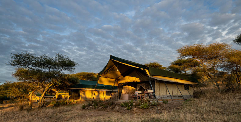 The Tents
