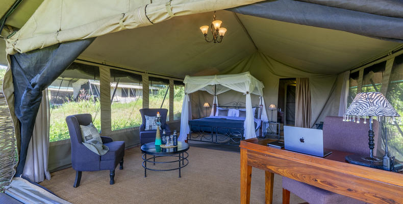 Double/Single Tent