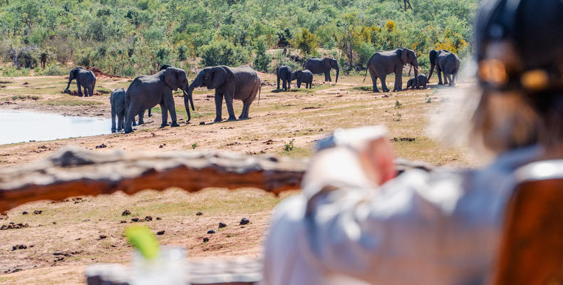 View From Ivory Hide