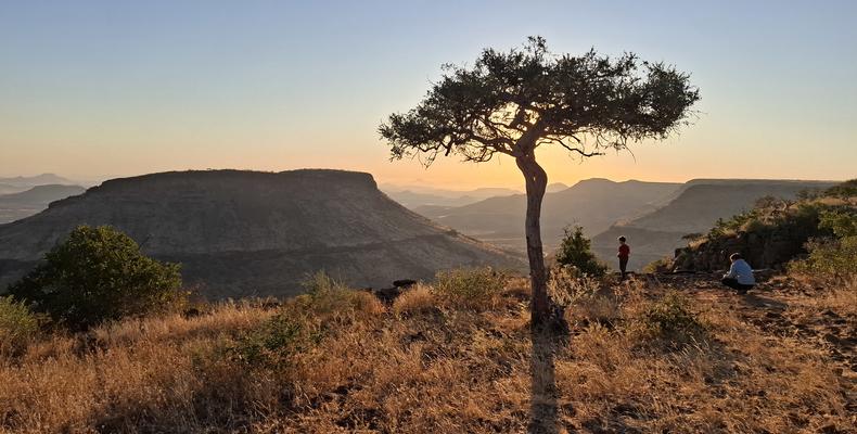 Sundowner 