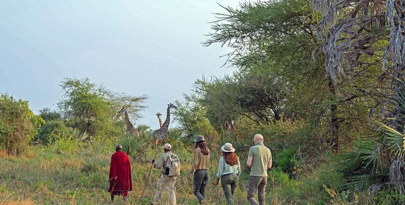 Nature walk with Maasai