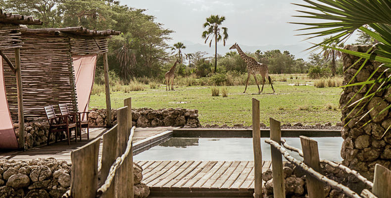 Pool Area 