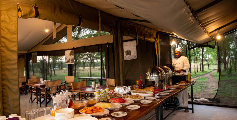 Serengeti Kati Kati