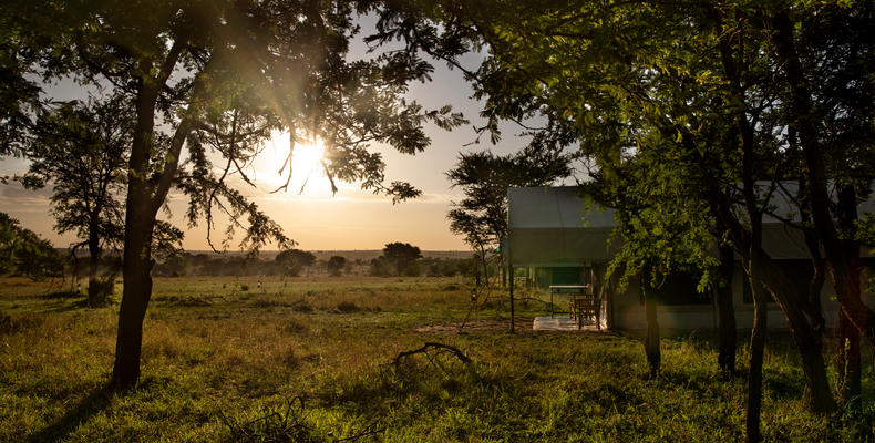 Serengeti Kati Kati
