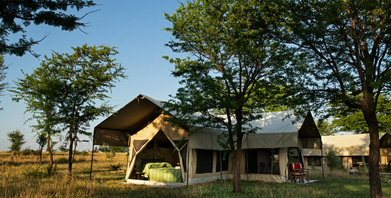 Serengeti Kati Kati