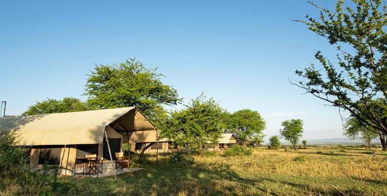 Serengeti Kati Kati