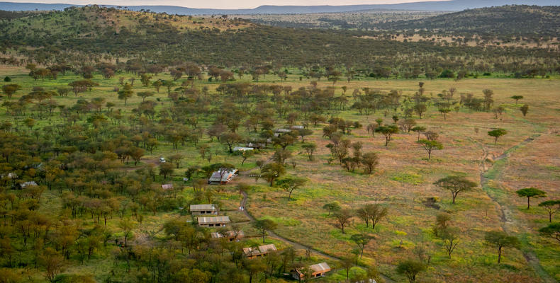 Serengeti Kati Kati