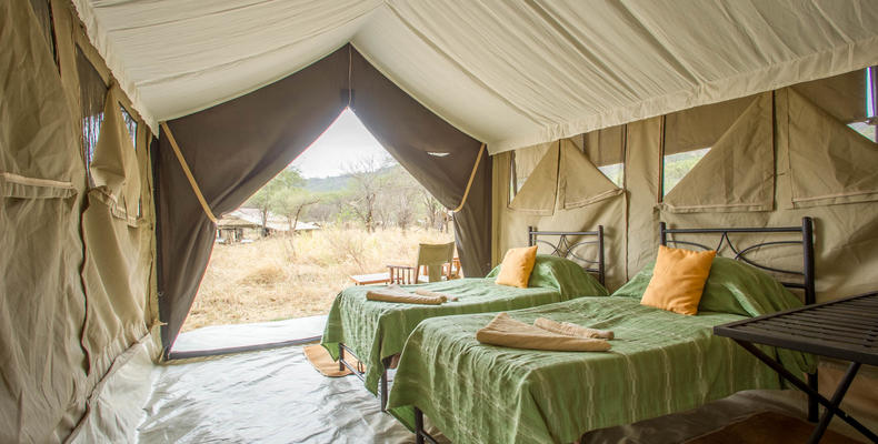 Serengeti Kati Kati
