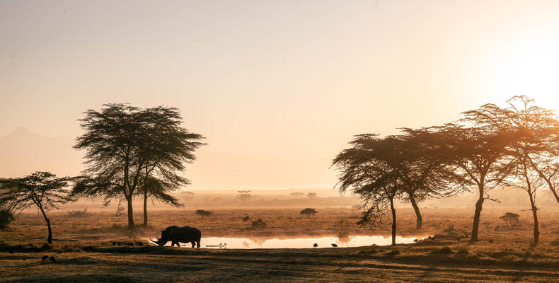 Watering hole at Solio Lodge