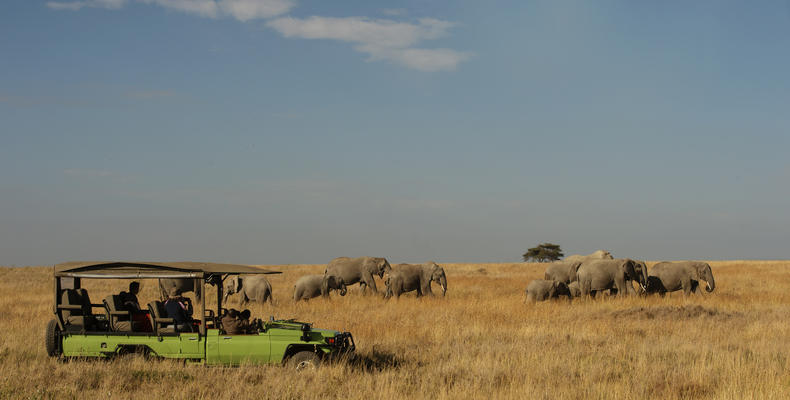 Olmara Camp - game drive
