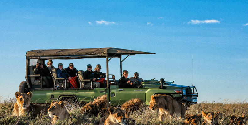 Olmara Camp - game drive