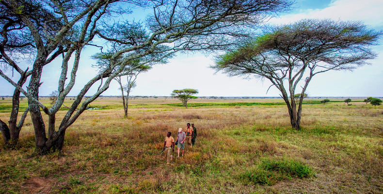 Olmara Camp - walking safari