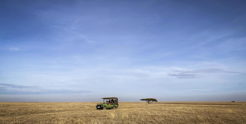 Olmara Camp - game drive