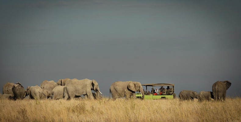 Olmara Camp - game drive