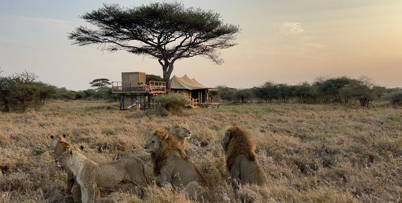 Olmara Camp - Stargazer Tented Suite