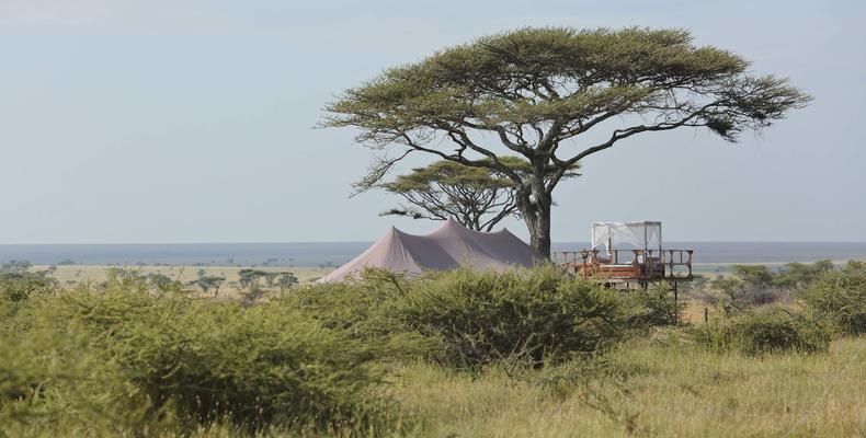 Olmara Camp - tent / room