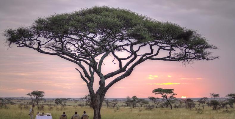 Olmara Camp - Sundowners